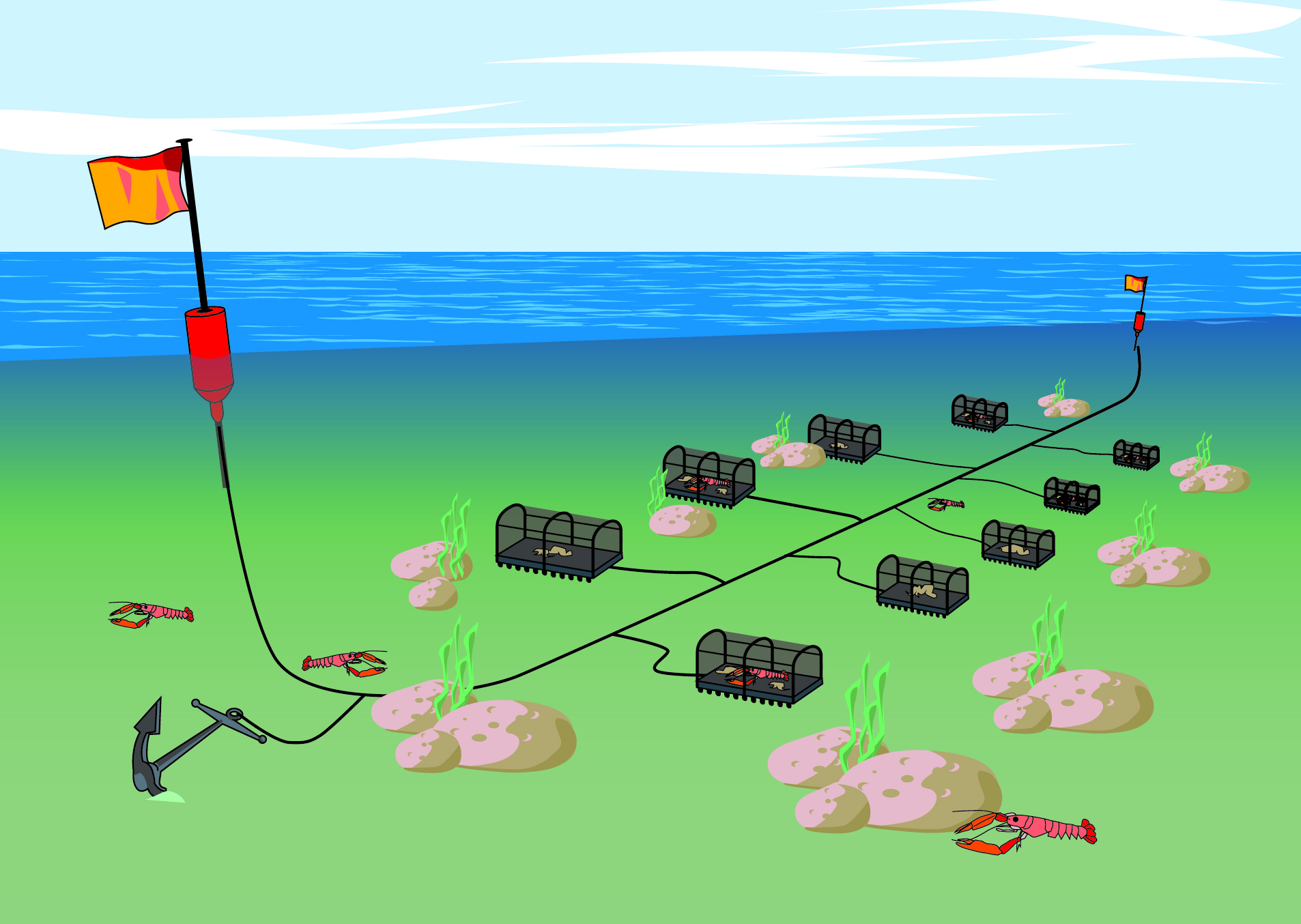 New Mediterranean and Black Sea fishing gear catalogue a milestone for